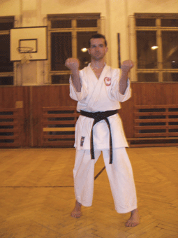 Sakura-06.gif (52328 bytes)