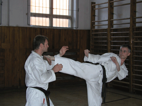 Kovacov-2.gif (103951 bytes)