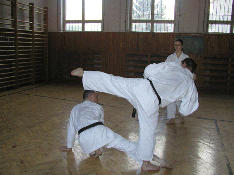 Kovacov-2.gif (103951 bytes)