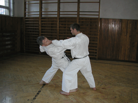 Kovacov-2.gif (103951 bytes)